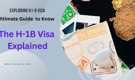h1 b visa