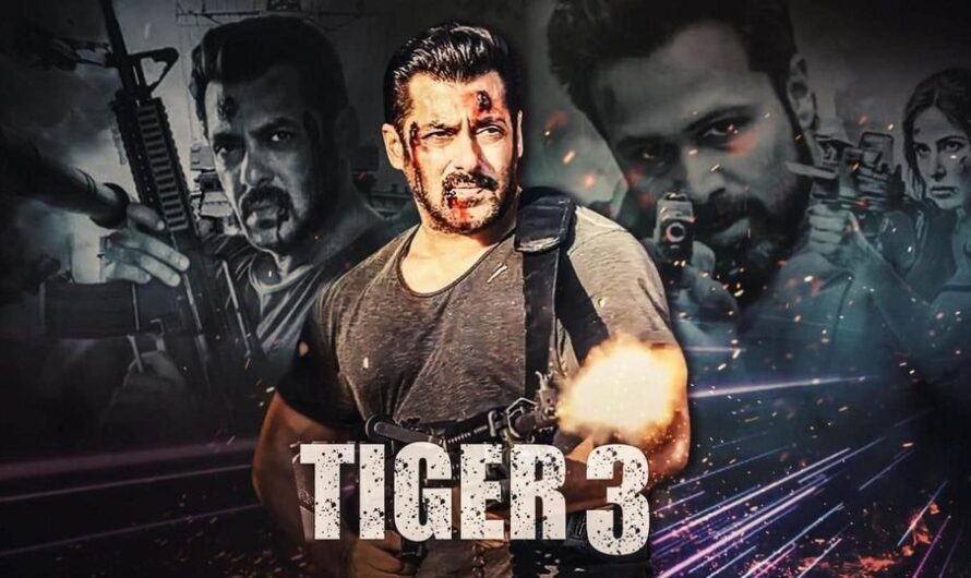 Salman Khan in Tiger 3: Unleashed Valor