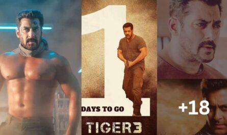 Salman Khan in Tiger 3