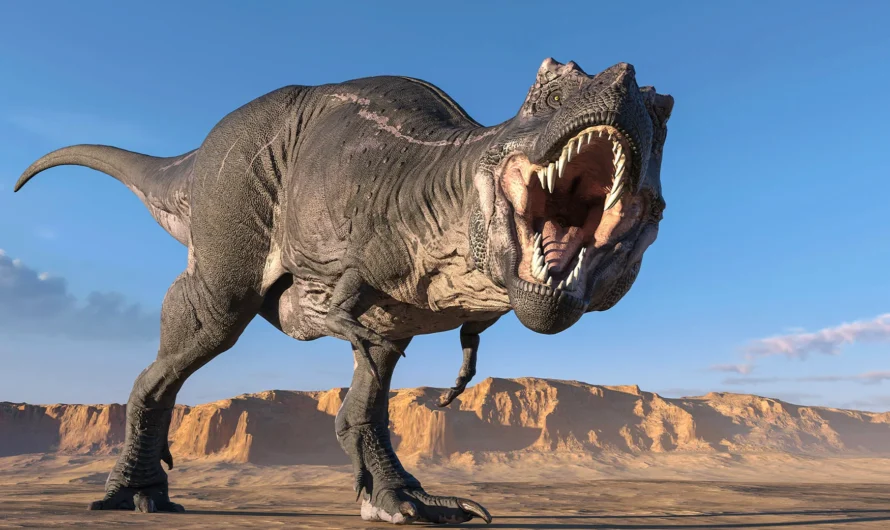 Exploring the Fascinating Discovery of a Giant Dinosaur in Southern England