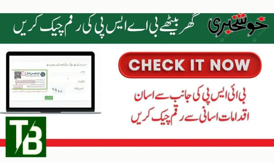 Great News, BISP Beneficiaries! Here’s How to Check Your New Payment Status