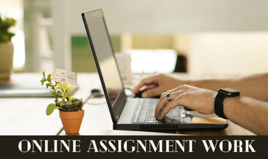 Earn $100 Daily from Home By Completing Assignment Work