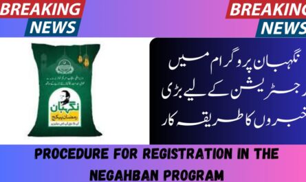 Procedure for Registration in the Negahban Program