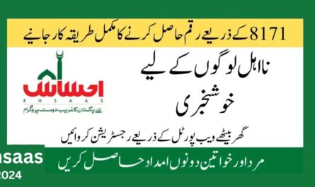 All Details For Ehsaas Program 8171